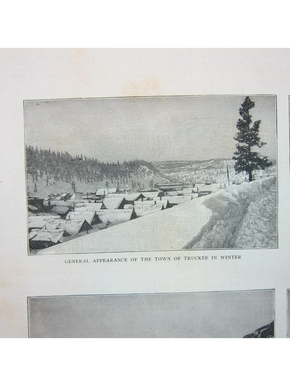 Antique 1885 Print 